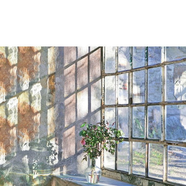 f022cd_0661e24df1644d74a4a2494fe374512b_mv2 vera rossi