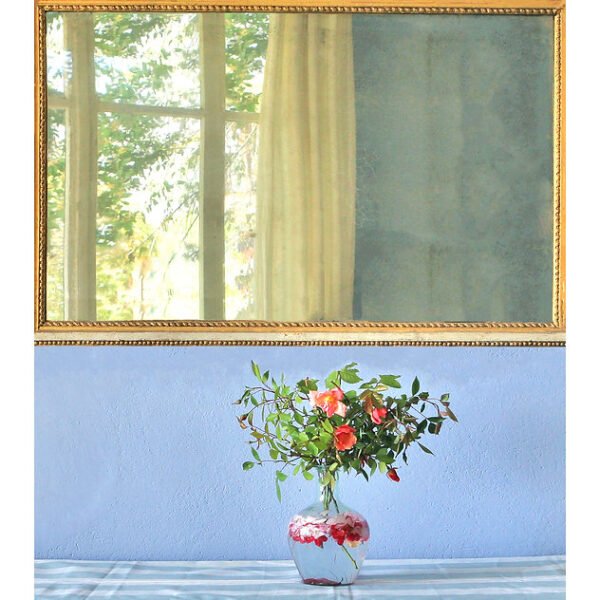 f022cd_1e9d950561d741f3b0e74628998ecf1b_mv2 vera rossi