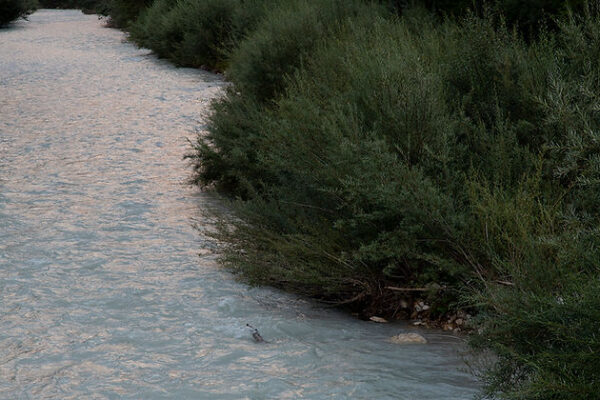 f022cd_22e7768a042e46c797e25d4c3f732265_mv2 mia ceran