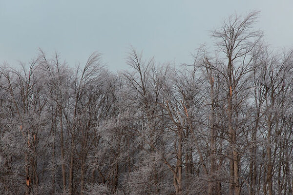 f022cd_6a3bc747b6b6487a80fe6fb6845b2bfd_mv2 mia ceran