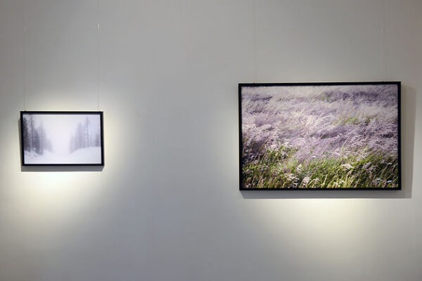 f022cd_a28dde4f950b4065b9238167477459c6_mv2 contemporary photography rome, art gallery in rome, contemporary art in rome