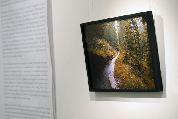 f022cd_a2b1bfc8f4e64e88a10dbebbc3e42aaf_mv2 emerging artist, young photographers, italian landscape photographers