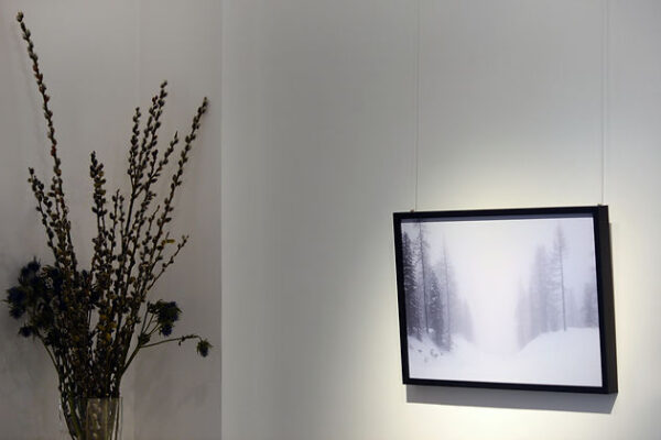 f022cd_a338444ae5d241d8a8b02931d861e445_mv2 sofia podestà, kairos