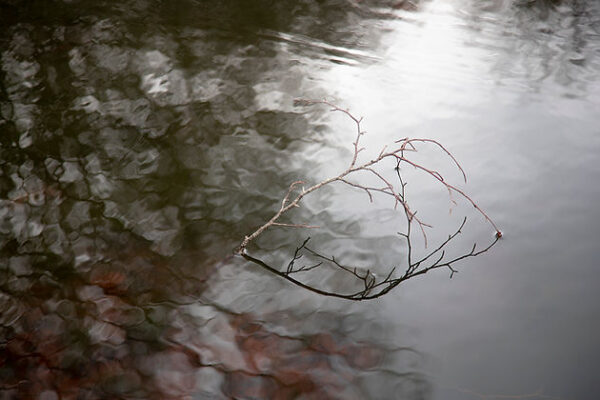 f022cd_b0546487cb9b46f09d90c7af7d50a156_mv2 sofia podestà, kairos