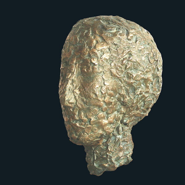 f022cd_ed9d36cb7e024a81b9f097042eff8ac1_mv2 gianlorenzo gasperini