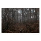 sofia podestà, fotografi contemporanei, fotografia contemporanea italiana, fotografe donne, fotografe famose italiane