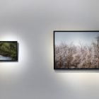 fotografia a roma, sofia podestà, fotografi emergenti italiani, fotografia emergente italiana, giovani fotgorafi, giovani fotografi italiani