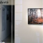 sofia podestà, sofia podestà book, sofia podestà kairos, kairos, contemporary photography