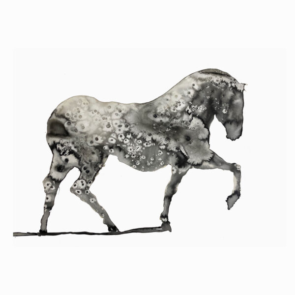 1.1_VBC_Beppe Stasi_Cavallo su tre zampe_Inchiostri su carta_38x57cm