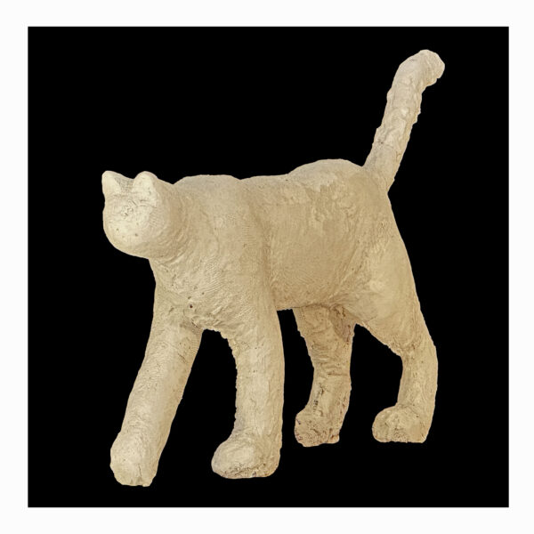 1.1_VBC_Gianlorenzo Gasperini_2-Grande Gatto, 2025, Resina Acrilica, cm 83x115x25.JPG (3)