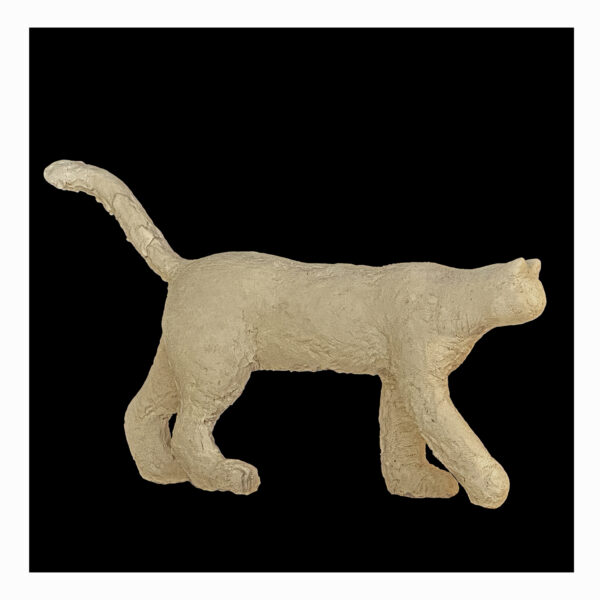 1.1_VBC_Gianlorenzo Gasperini_3-Grande Gatto, 2025, Resina Acrilica, cm 83x115x25