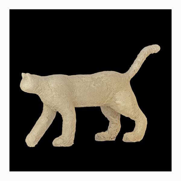 1.1_VBC_Gianlorenzo Gasperini_4-Grande Gatto, 2025, Resina Acrilica, cm 83x115x25