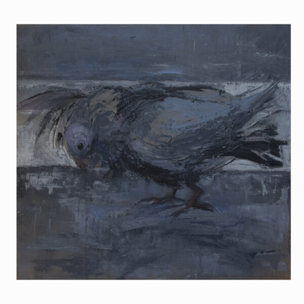 1.1_VBC_Moreno Pette_Piccione_2025_acrilico_ 65x70