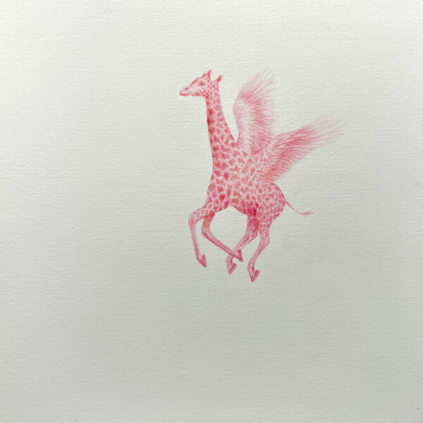 VBC_Irene Rossetti_2025_Una Giraffa_Matita su carta_20x20cm_01