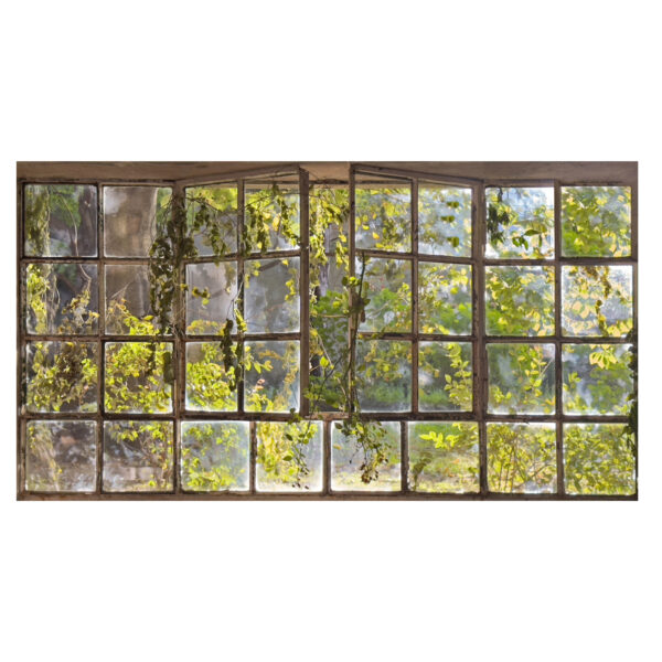 1.1_Mess, 2025, 50x90, Fine art Print on Plexiglass