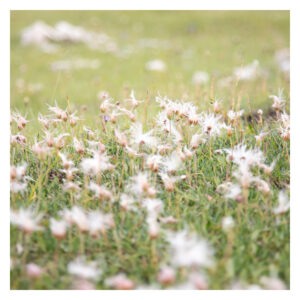 contemporary photography artists Europe, European emerging artist photographer