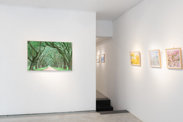 Allestimento_True to Nature_05