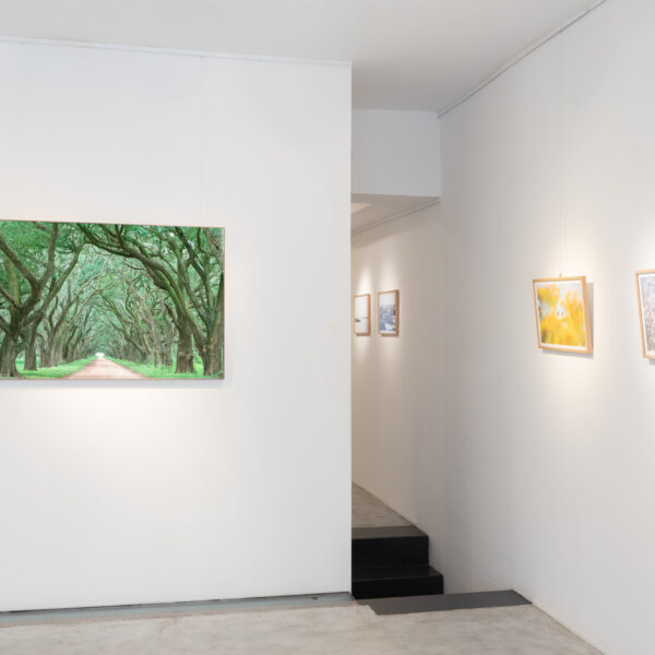 Allestimento_True to Nature_05