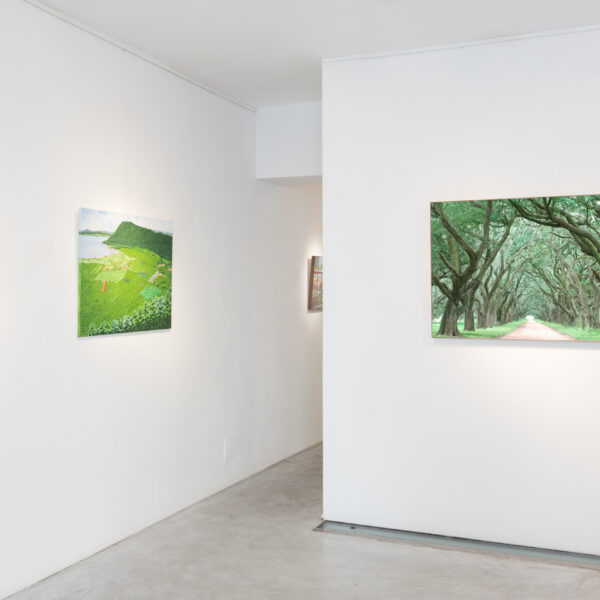 Allestimento_True to Nature_06