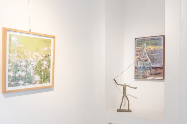 Allestimento_True to Nature_11