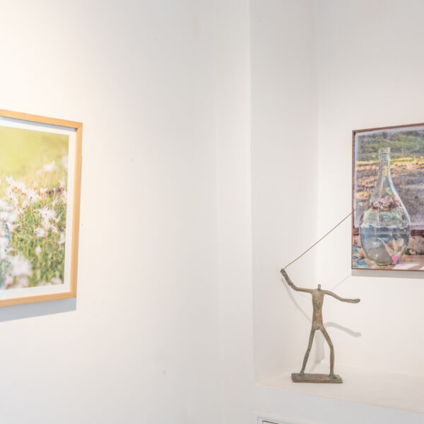 Allestimento_True to Nature_11