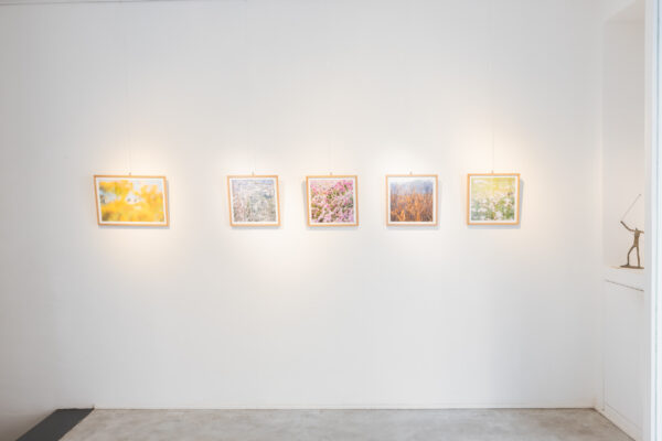 Allestimento_True to Nature_14