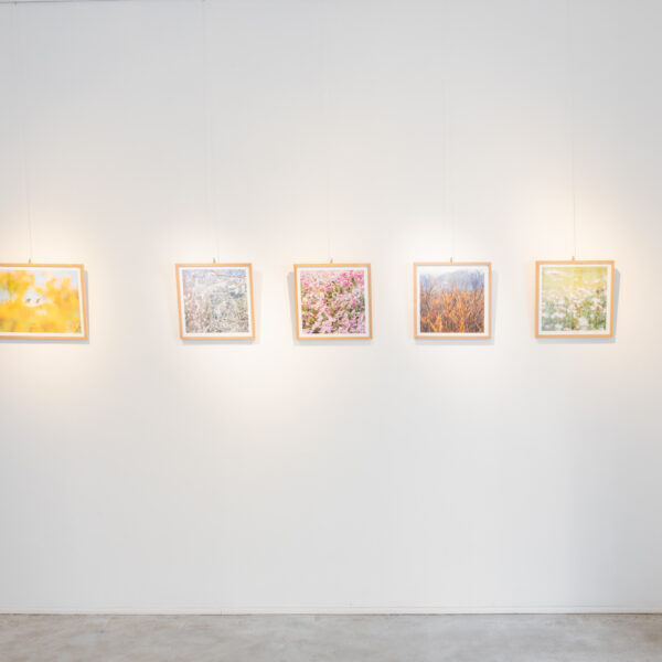 Allestimento_True to Nature_14