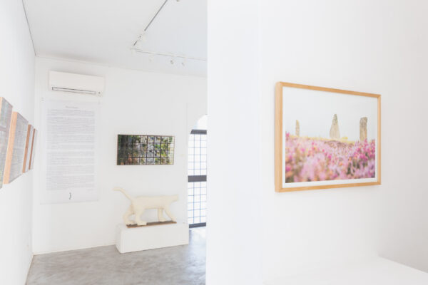 Allestimento_True to Nature_17