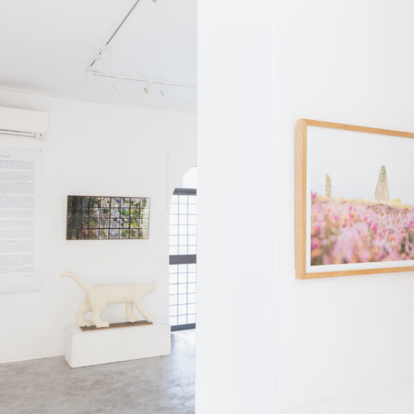 Allestimento_True to Nature_17