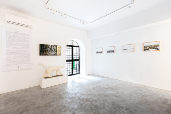 Allestimento_True to Nature_18