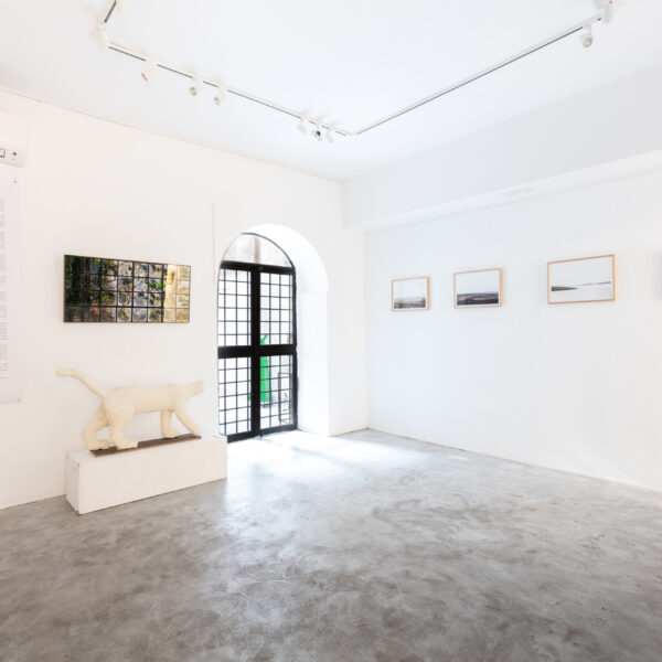 Allestimento_True to Nature_18