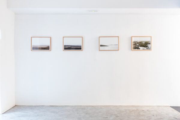 Allestimento_True to Nature_19