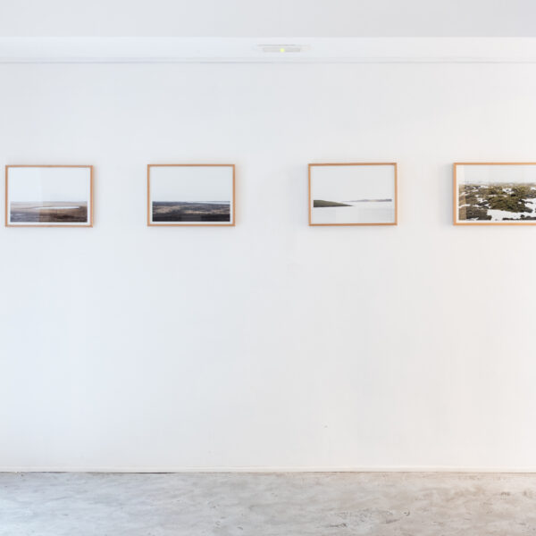 Allestimento_True to Nature_19