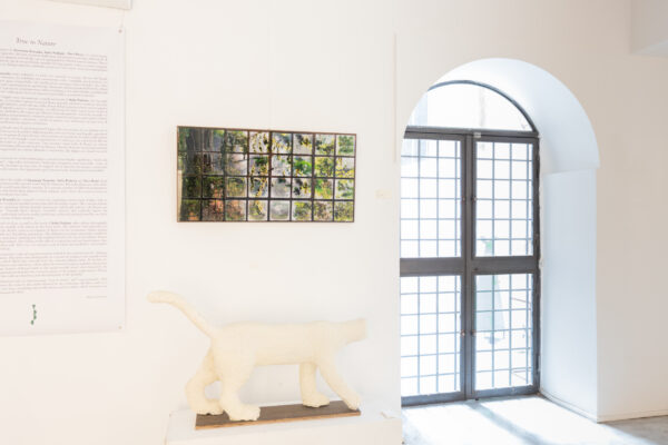 Allestimento_True to Nature_20