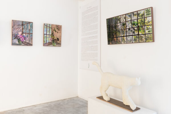 Allestimento_True to Nature_27