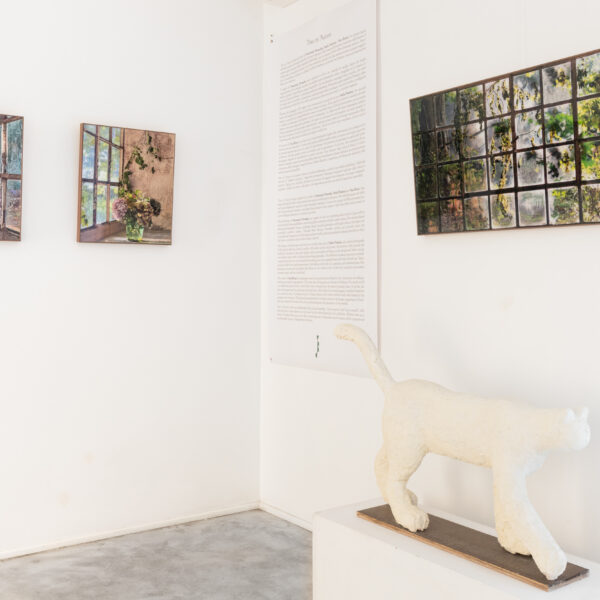 Allestimento_True to Nature_27