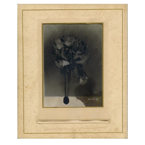 1.1_VBC_Leonor Benito de la Lastra_Enviada en físico _20 cm x 18 cm copia