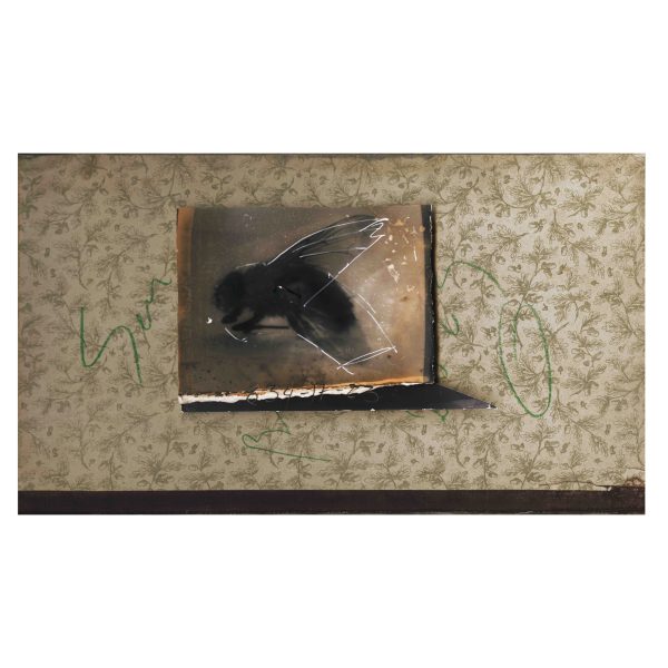 1.1_VBC_Leonor Benito de la Lastra_Enviada en físico_17,5 x 30,5 cm-Micrograma- copia